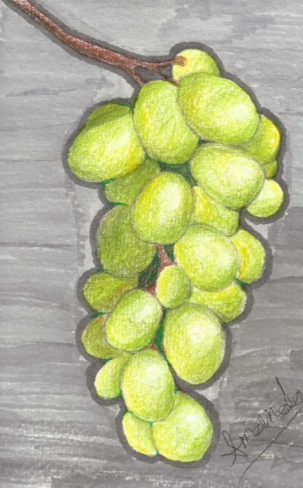 Racimo de Uvas